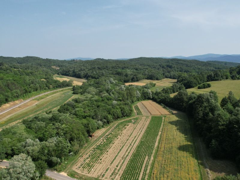 DJI 0532 DJI 0532